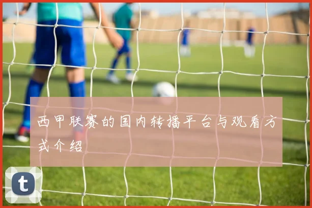 西甲联赛的国内转播平台与观看方式介绍