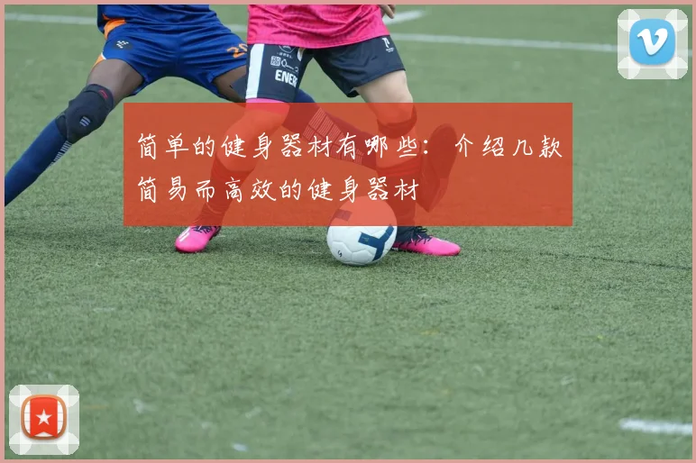 简单的健身器材有哪些:介绍几款简易而高效的健身器材