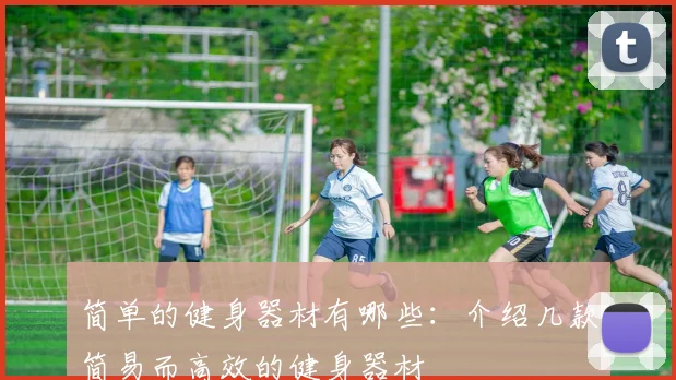 简单的健身器材有哪些:介绍几款简易而高效的健身器材