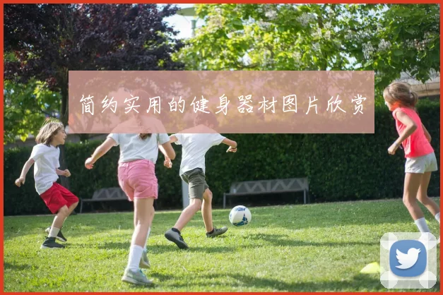 简约实用的健身器材图片欣赏